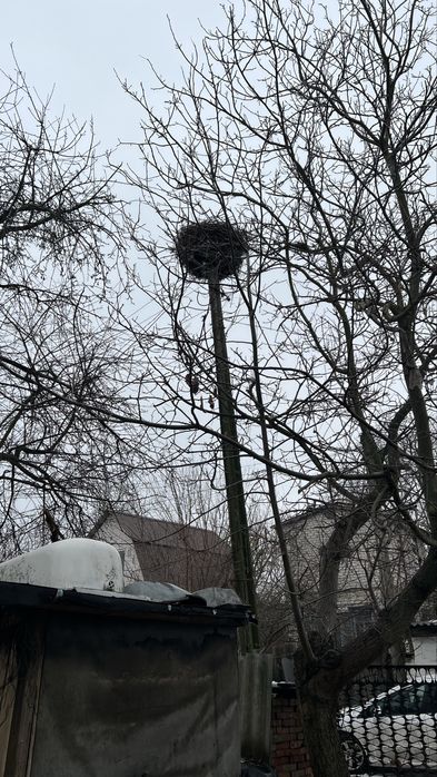 Продам дачу в кооперативі « Веселка»