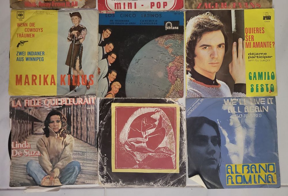 Lote  Discos Vínil dos Pequenos recolha no local