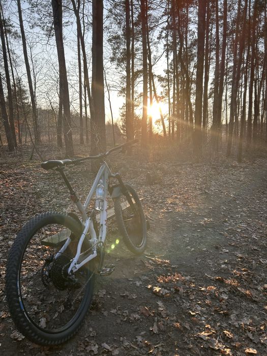 Marin Rift Zone 2 - papiery