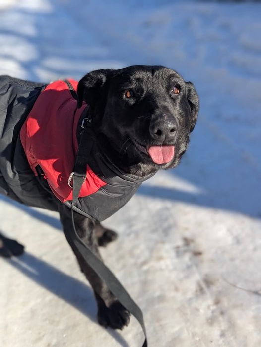 Ugra czeka na swoich ludzi!