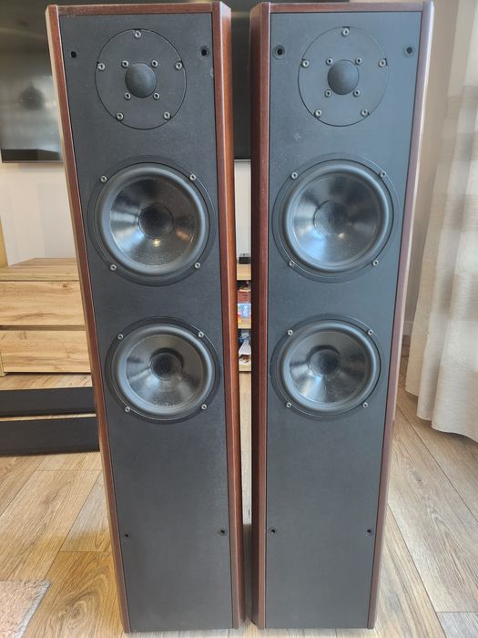 Sprzedam kolumny Dali 450