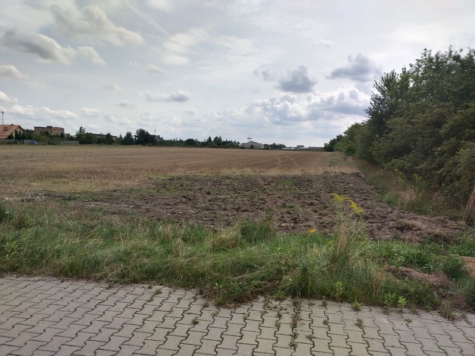 Zdjęcie 2