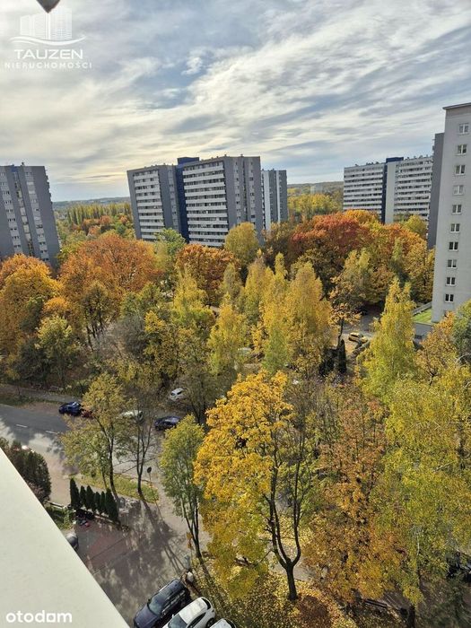 Przestronne 60 m2 | Balkon | 3 min. do Parku Śl.