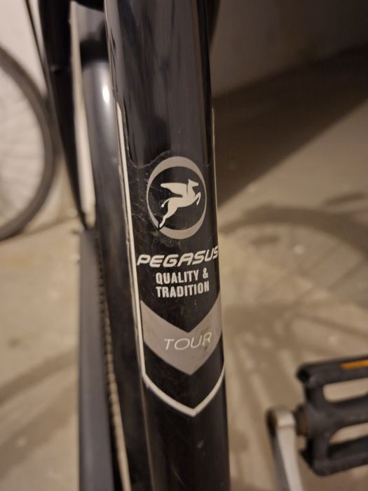 Pegasus Tour Bike Sensation