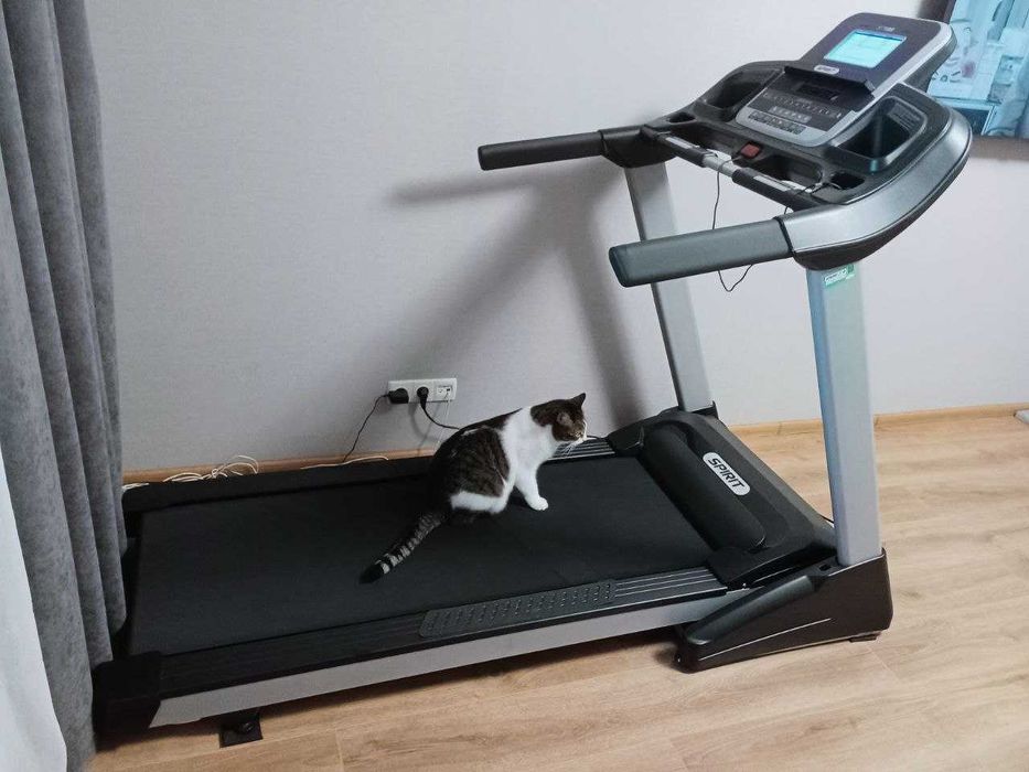 Бігові доріжки в оренду в Запоріжжі