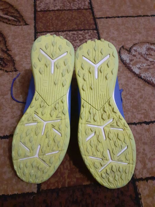 Сороконожки фірмові