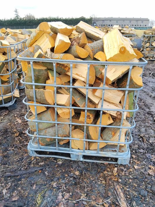 drewno kominkowe opałowe buk dąb brzoza grab sosna