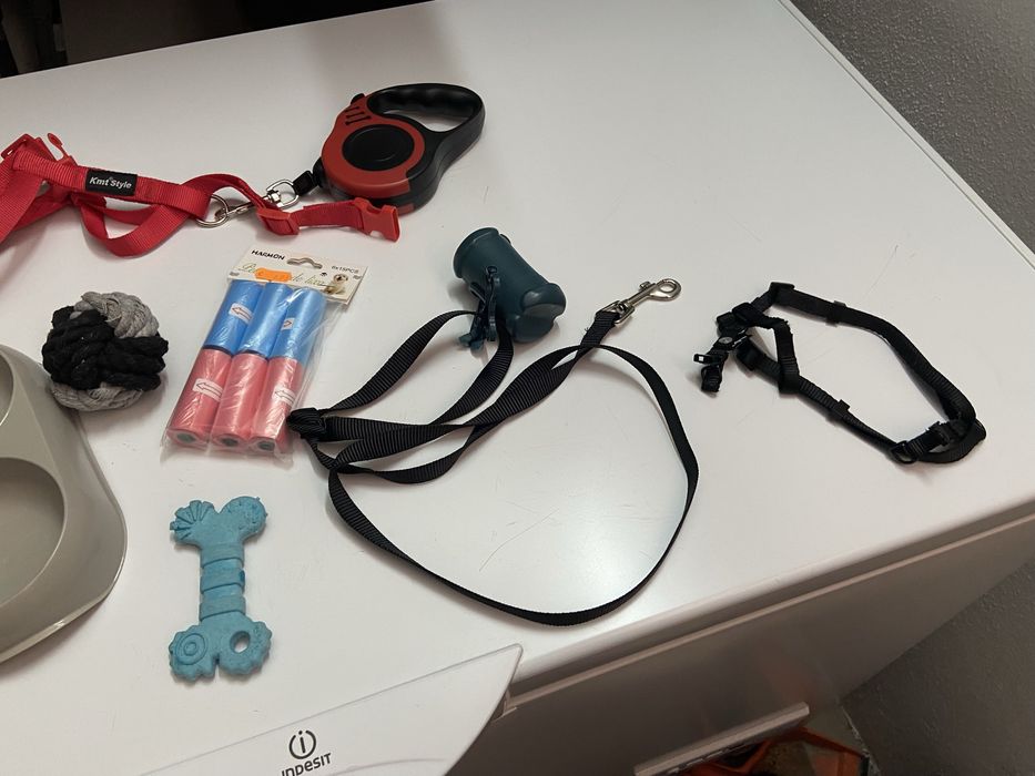 Acessorios e trelas para cao e sacos para apanhao