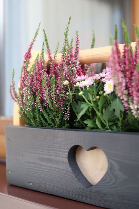 Skrzyneczka na kwiatki, wrzosy, zioła