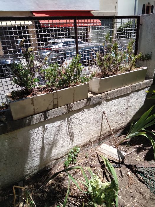 Vasos - floreira de jardim