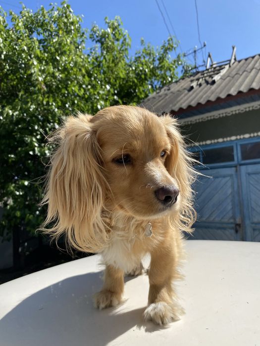 за винагороду!!!