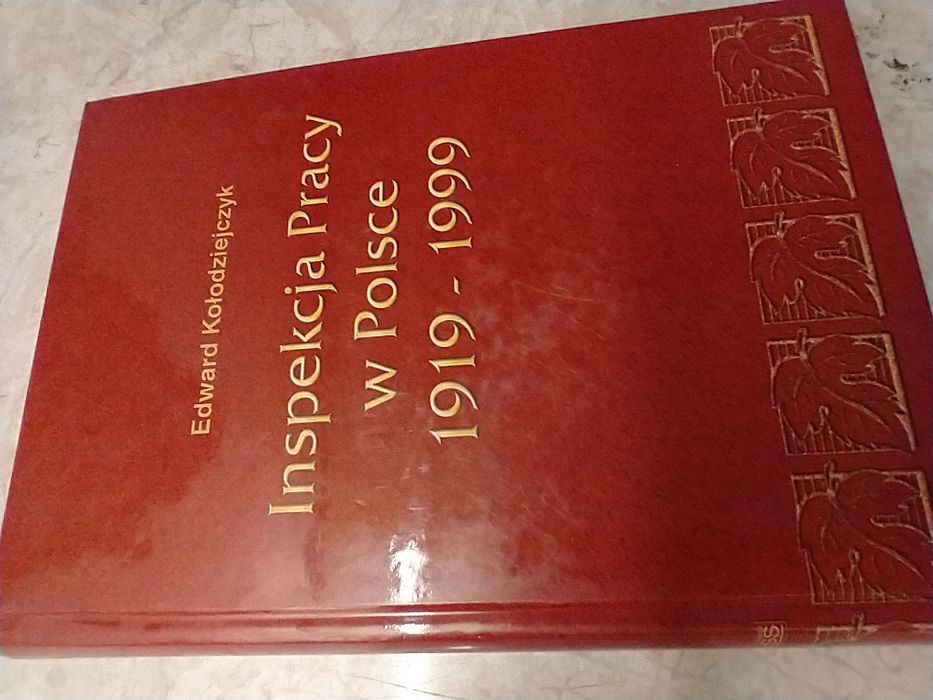 Inspekcja Pracy w Polsce - PIP