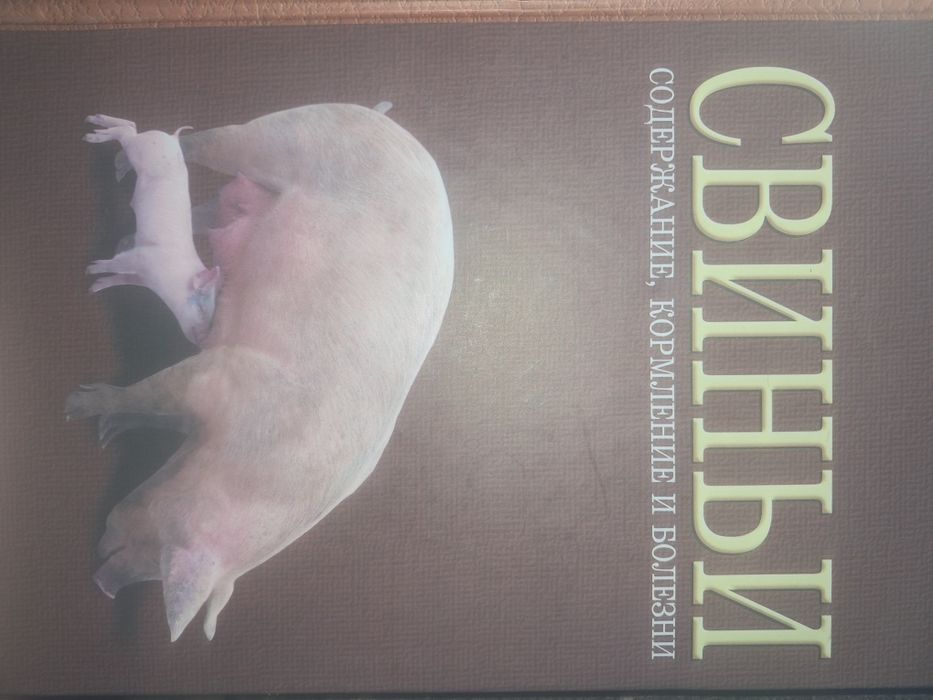 Свиньи. Содержание, кормление кузнецов 2007
Автор: Кузнецов