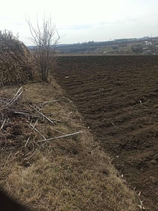 Продам земельну ділянку