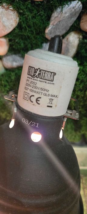 Акватерарріум, черкпашник, тераріум