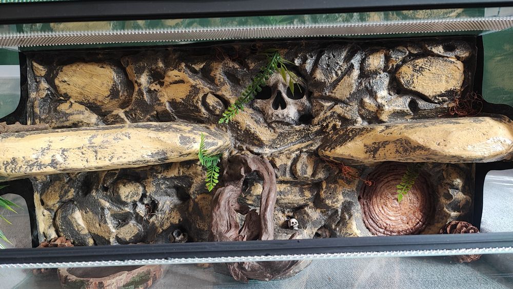 Terrarium na zamówienie