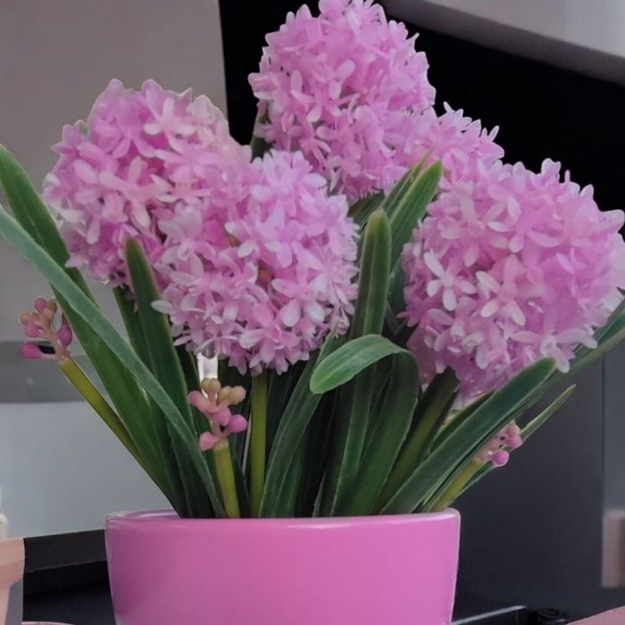 Kwiaty czosnków różowych 3 szt w bukiecie.