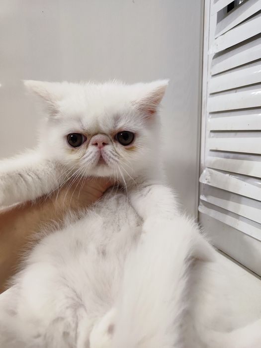 Нежнейший мальчик  Виталик