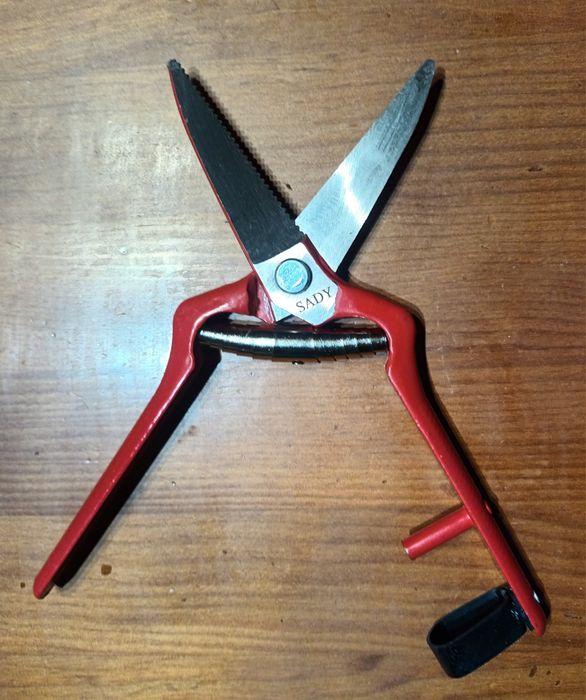 Tesouras e serrotes para podar.