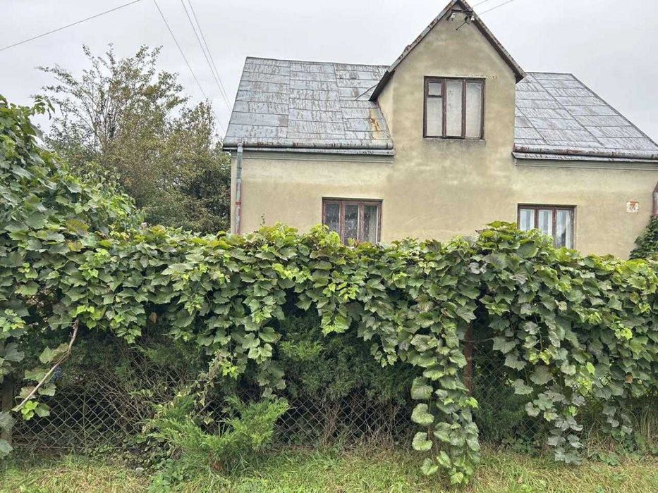 Продаж будинку, Зимна Вода