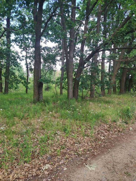 Продам участок в Тарасовке 6 соток под коммерцию