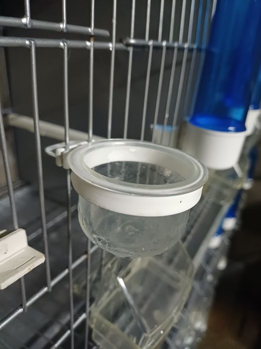 Gaiolas e acessorios- OFERTA IMPERDIVEL