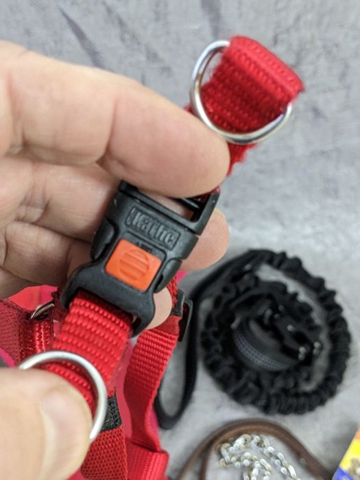 Ошійники та проводки для песиків.