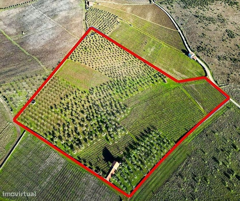 Terreno  para venda