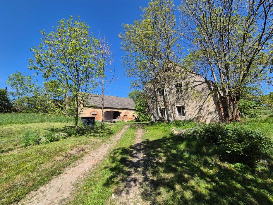 Dom 60 m² na działce 0,5ha z zabudowaniami okolice Ziębic - Więcej
