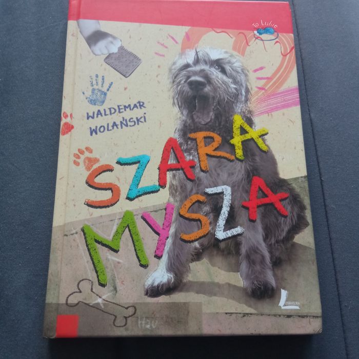 Szara mysza Waldemar Wolański książka
