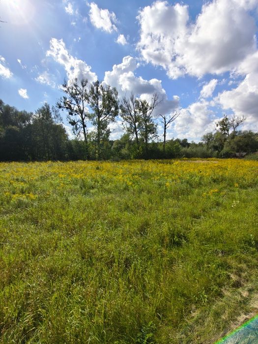 Działki na sprzedaż-Jaktorów Kolonia 4,26 ha, MPZP