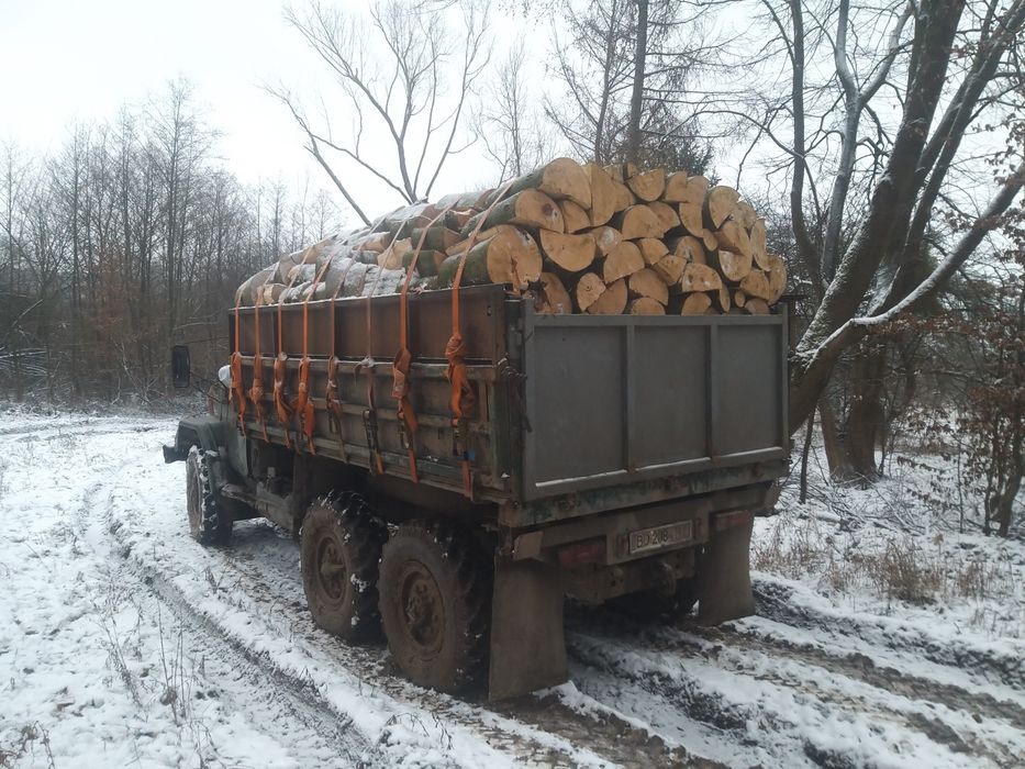 Дрова твердих порід.