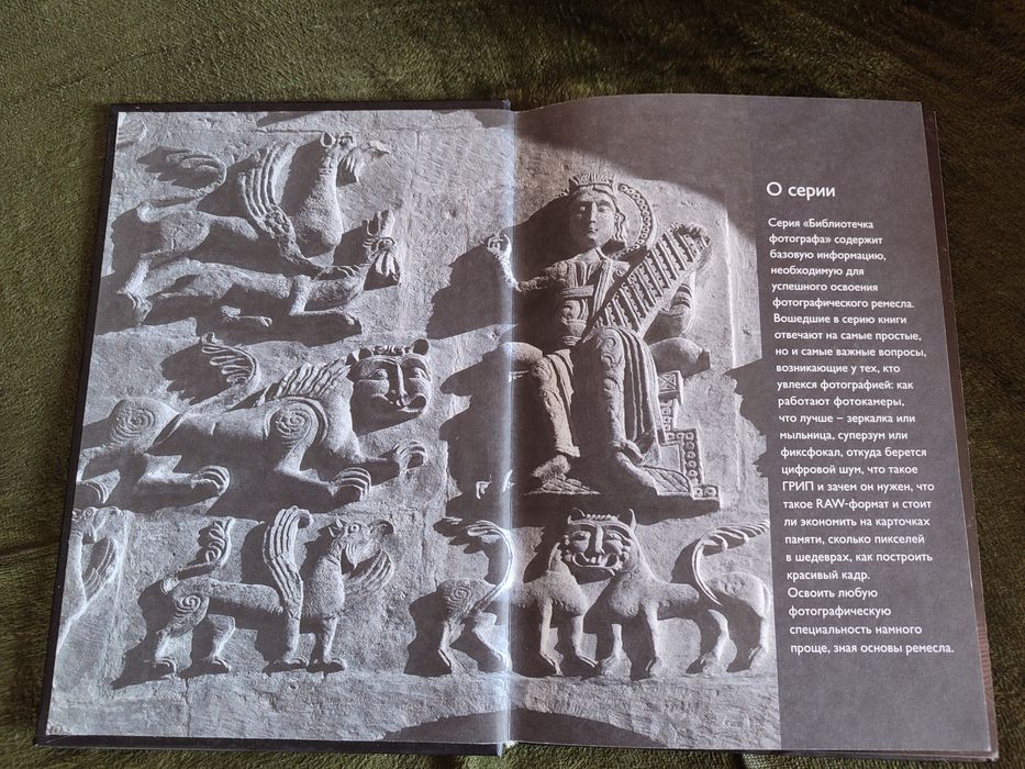 Фотография Какую камеру купить