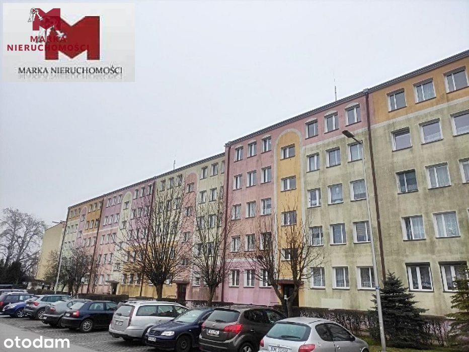 , Koźle
