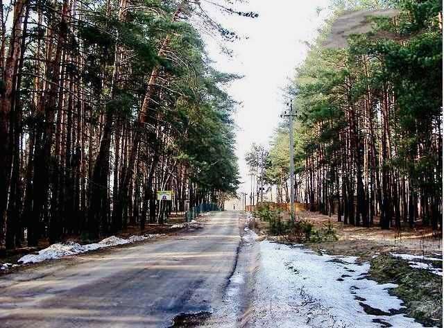 Елітна земельна ділянка в Соснівці на березі річки!