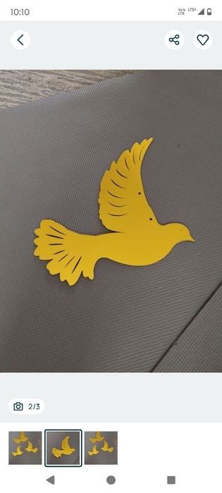 Złote gołębi sprzedam