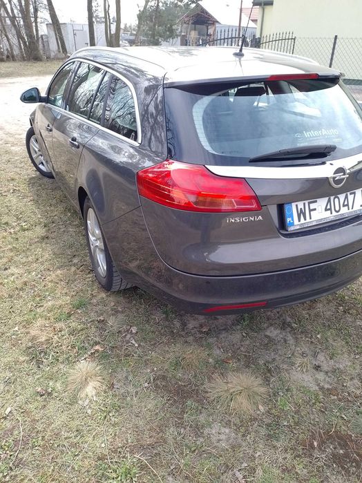 Opel Insignia, salon polska