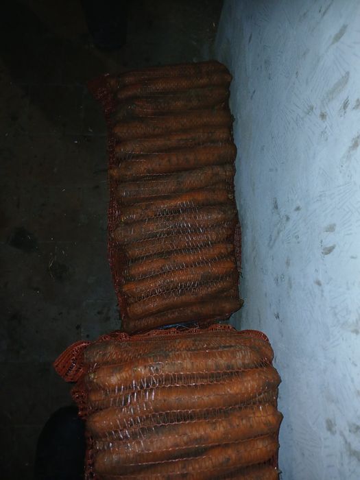Продам гарну моркву.