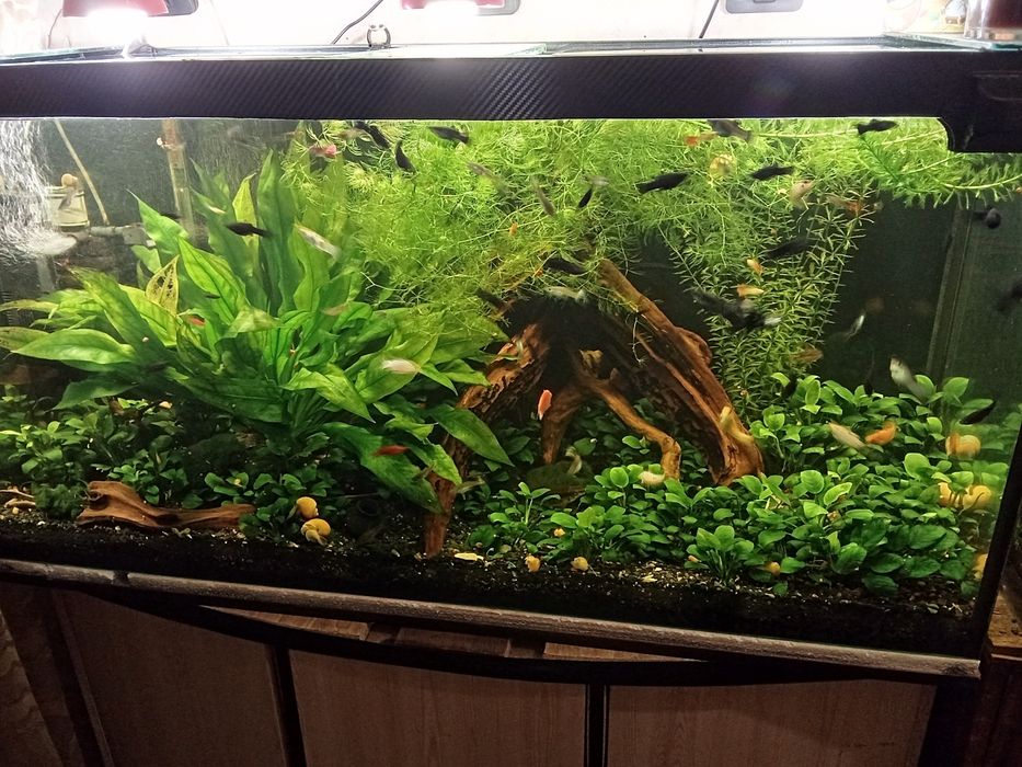 Продам аквариумы 100л,120л,150л