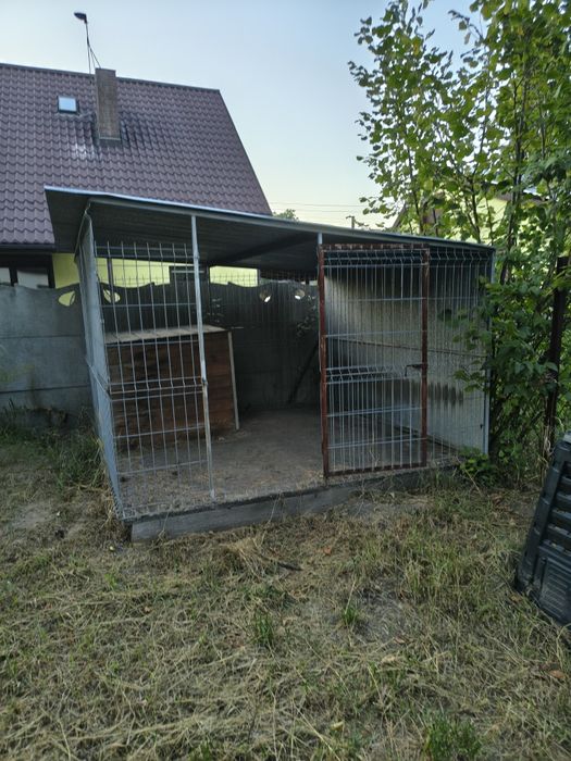 Kojec dla psa z budą