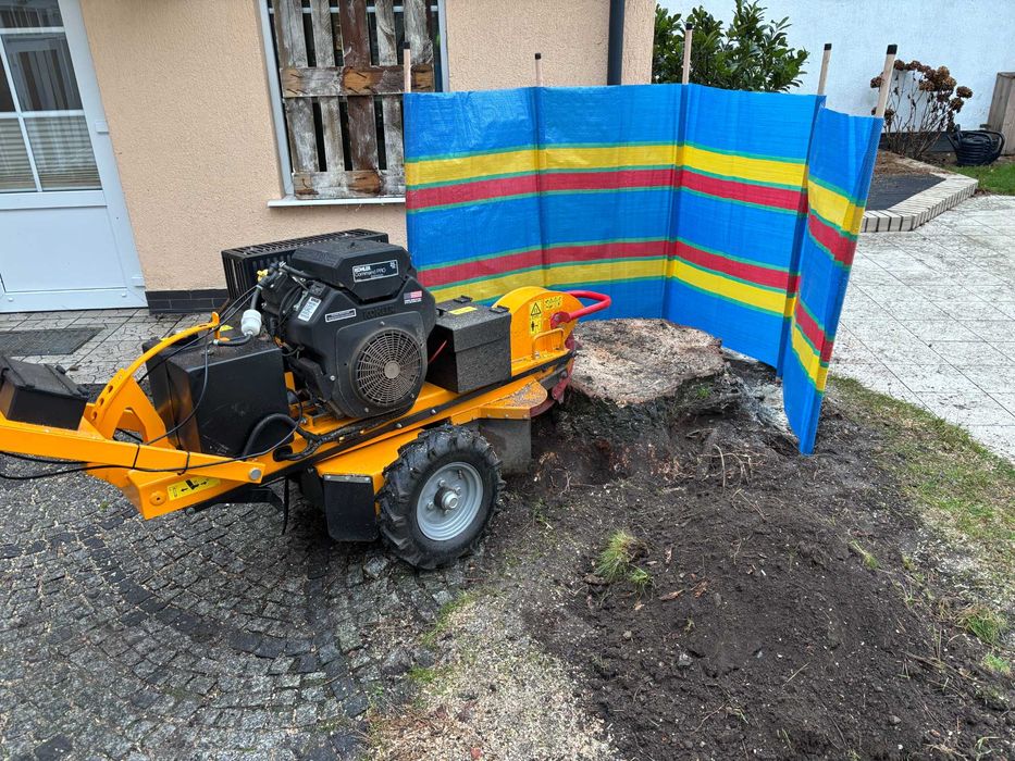 Frezowanie karczowanie usuwanie pni karp korzeni drzew