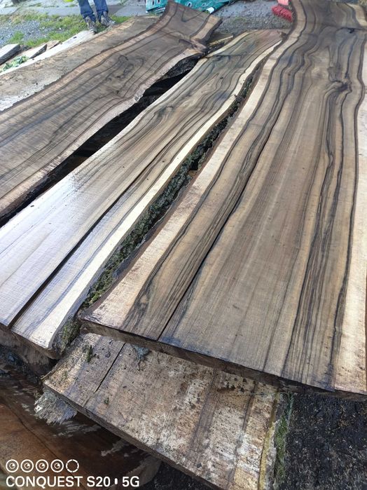 dąb jesion akacja kasztan orzech włoski  plastry krązki monolit blaty