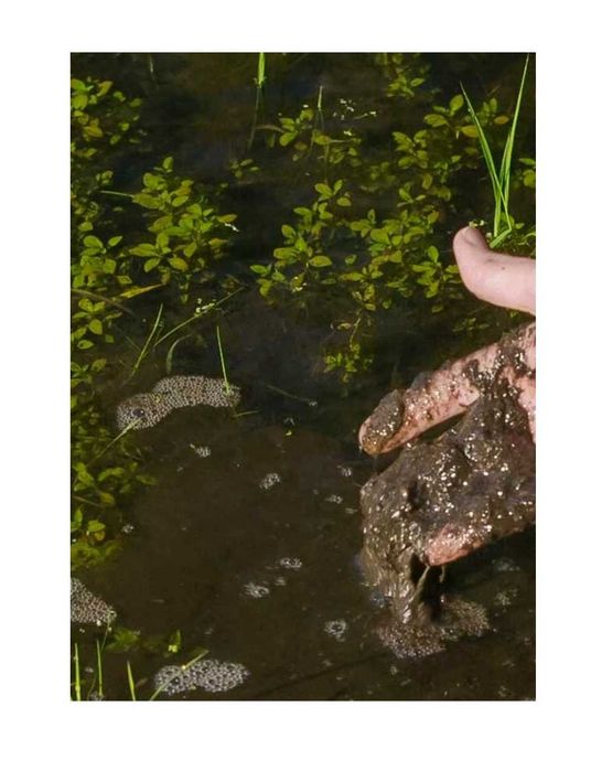 Kreda do stawu, kreda do wody, kreda do oczka wodnego 20kg, podnosi PH