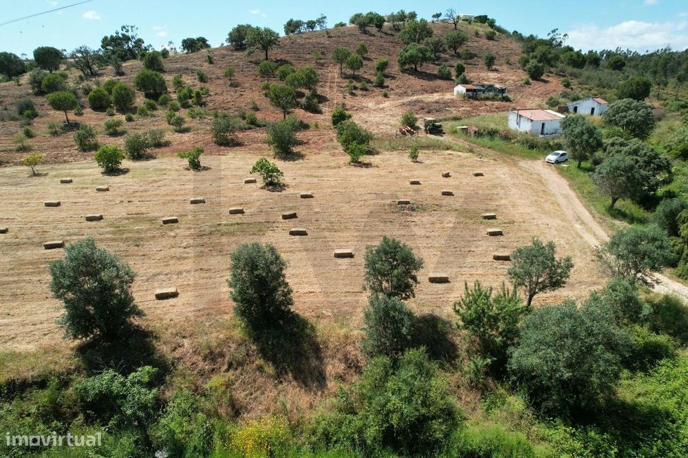 Quinta com casa e arrecadações com 23000m2 e dois poços na Senhora do