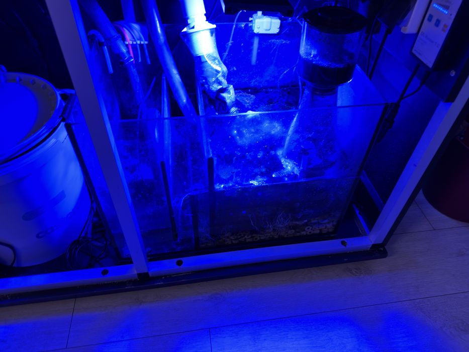 Akwarium morskie pełny zestaw