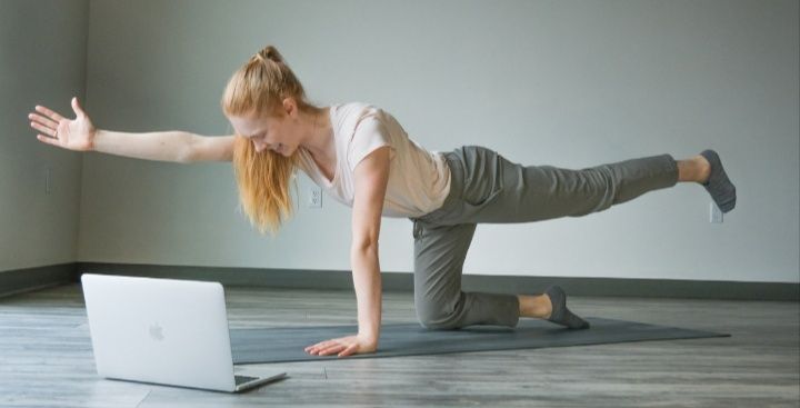 Fisioterapia online / online physiotherapy