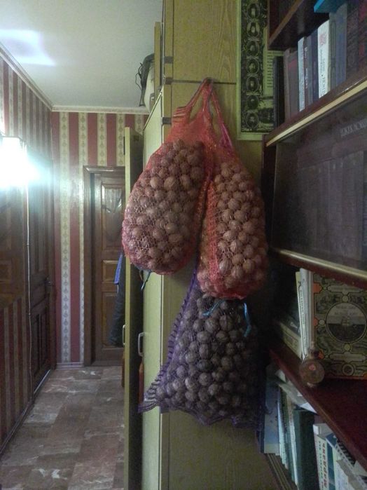 Грецкие орехи с дачи, скорлупа для печного отопления, перегородки