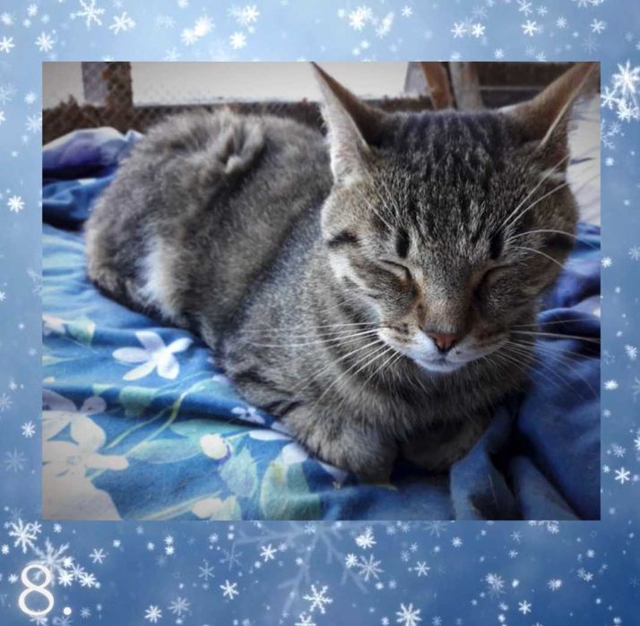 Wciąż wierzę, że istniejesz. Mikołaju proszę o pomoc i dom !