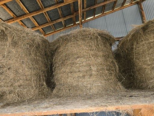 Siano pierwszy pokos