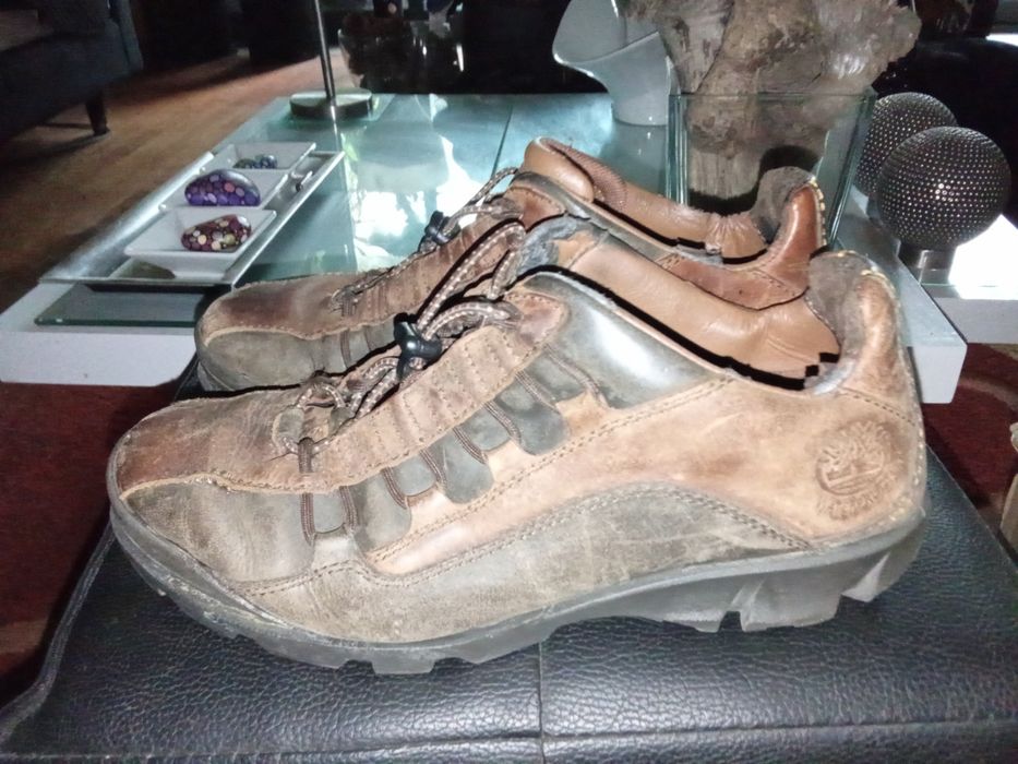 Sapatos homem trekking Timberland